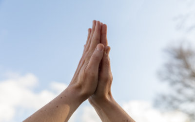 Opleiding Reiki Master