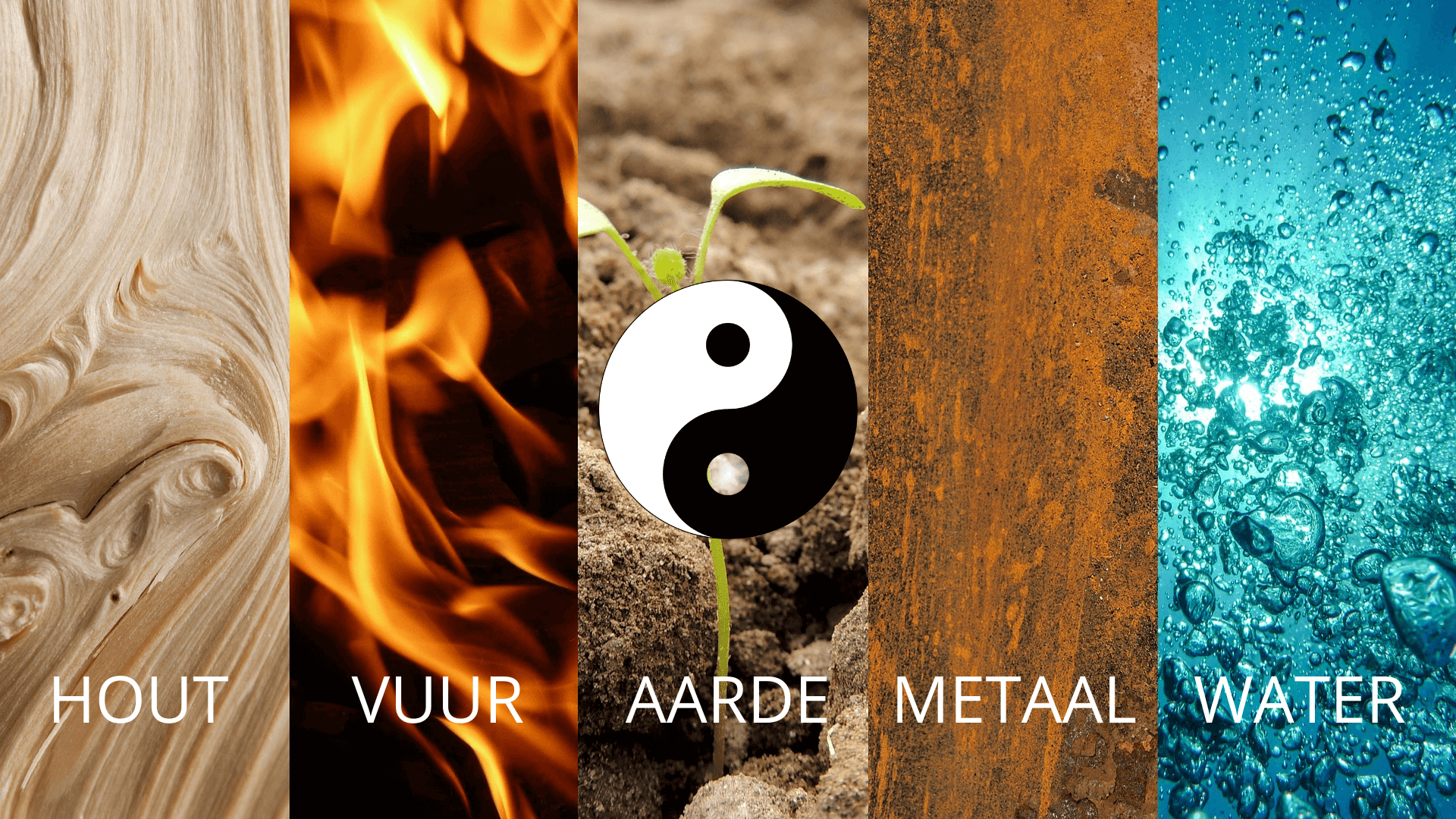 cursus Chinese elementenleer Avalon coaching Ridderkerk